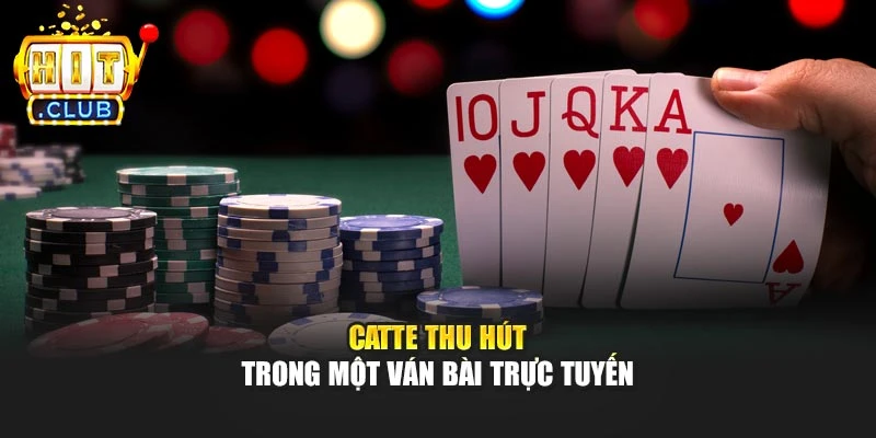 Catte thu hút trong một ván bài trực tuyến