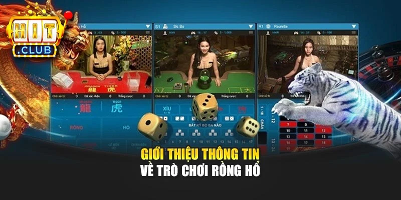 Giới thiệu thông tin về trò chơi Rồng Hổ