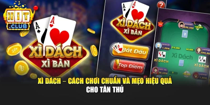 Xì Dách – Cách Chơi Chuẩn Và Mẹo Hiệu Quả Cho Tân Thủ